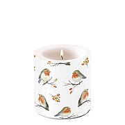 Robin family, candle