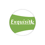 Info-Magnet "Exquisit"