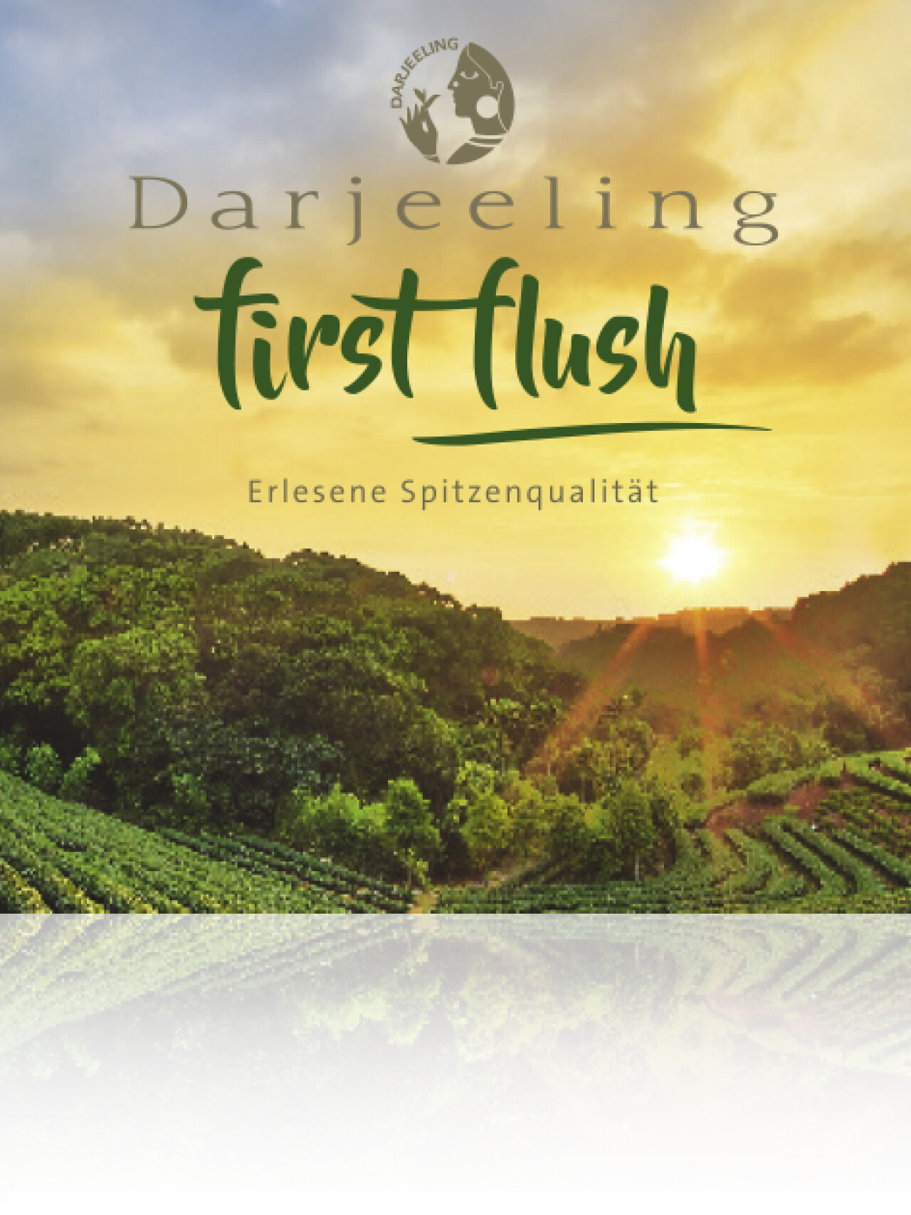 Broschüre "First Flush"